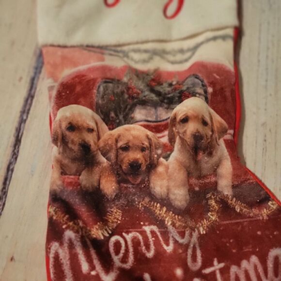 Joy Christmas Stocking Red White Puppy Labrador Dogs 18” - Picture 5 of 12